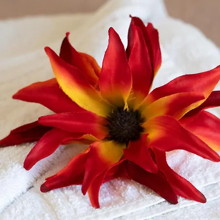 Apartament Doris House By Guestcorfu *